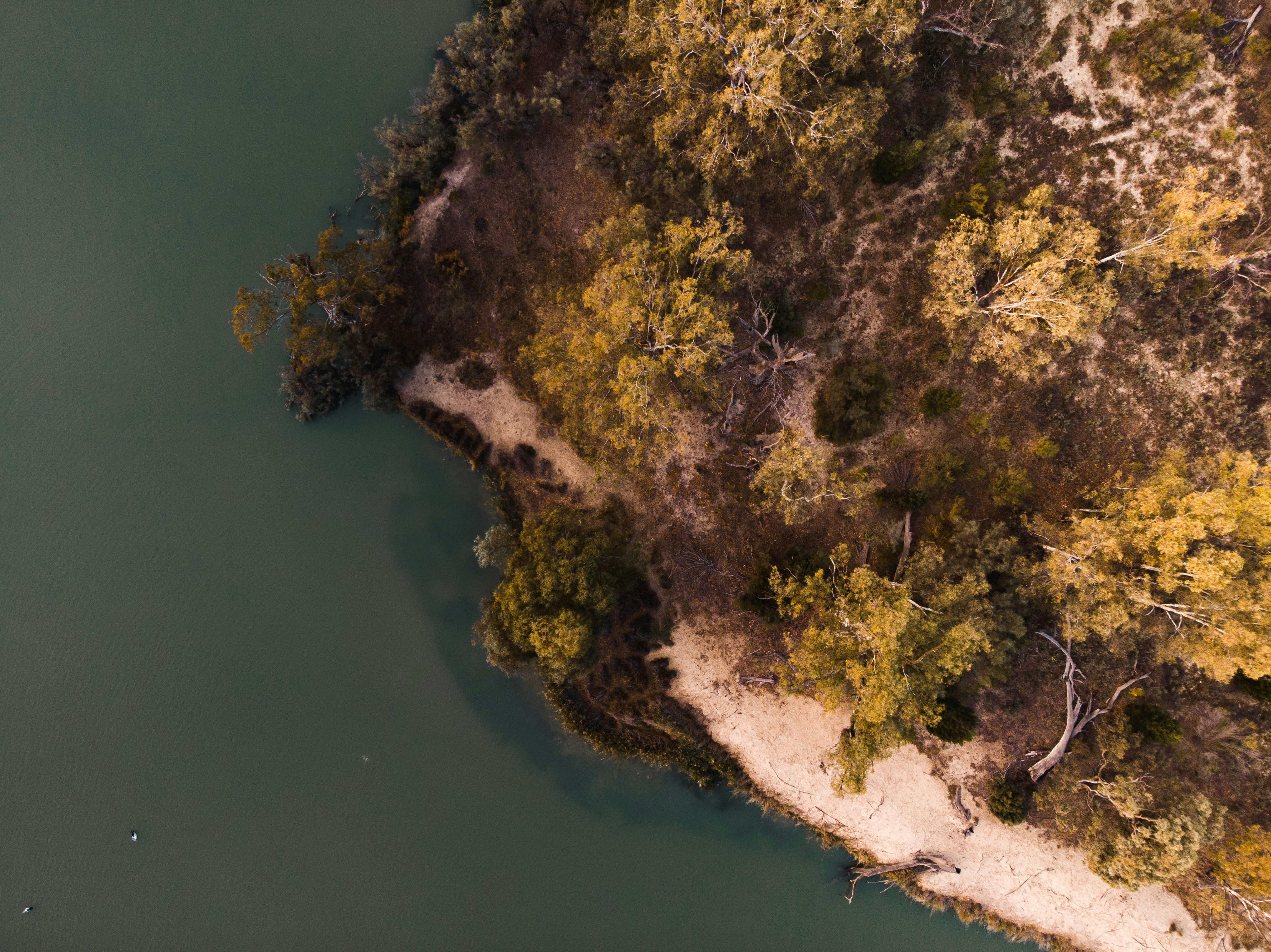 Murray River aerial view